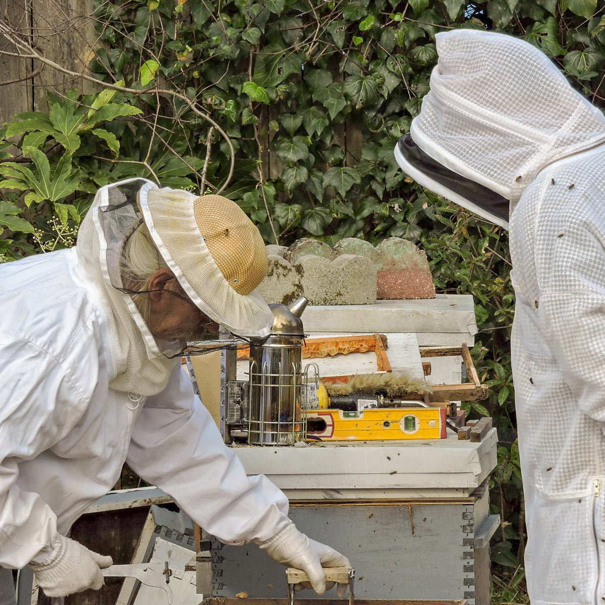 Our beekeeper removing frames from a hive and teaching another person in a beekeeper outfit
